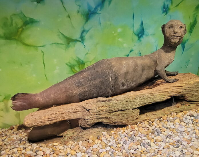 The Fiji Mermaid: Or How Barnum Tricked the World with a Taxidermy Hoax