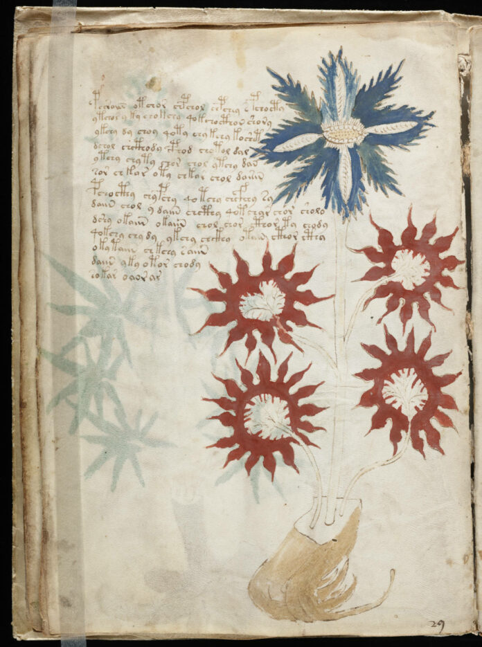 Voynich Manuscript