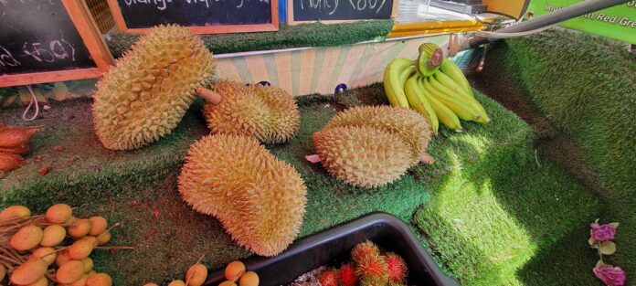 Interesting facts about the king of fruits Durian