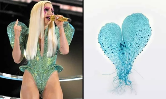 The Botanical Tribute to Lady Gaga