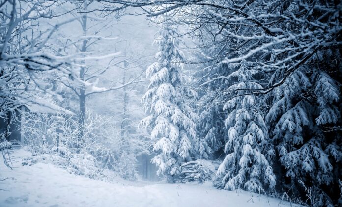 Interesting Facts About Winter