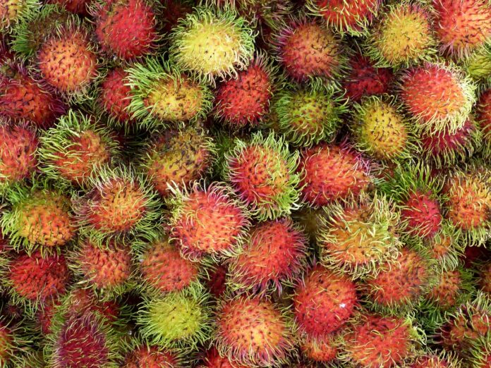 Interesting Facts About Rambutan