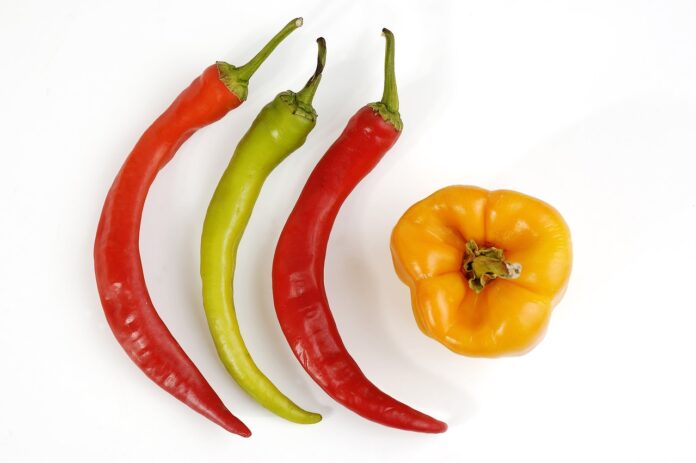 Interesting Facts About Peppers