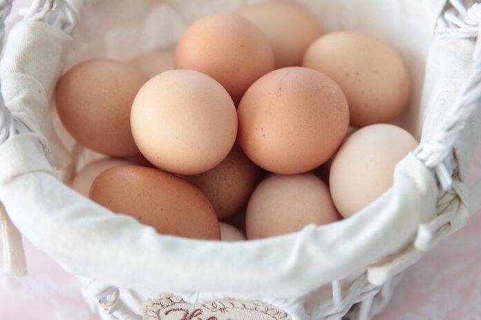 Interesting Facts and Fascinating Stories About Eggs