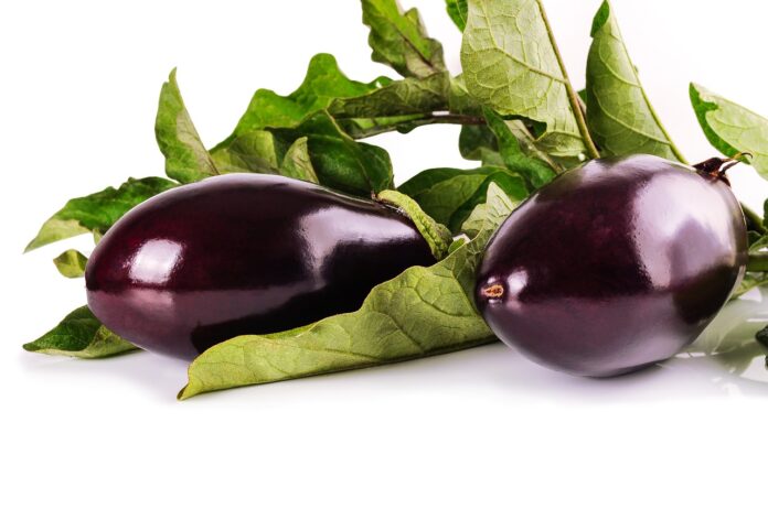 Interesting Facts About Eggplants