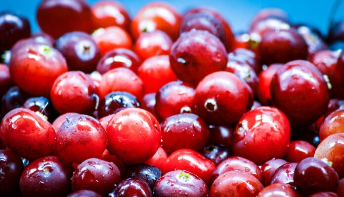 Interesting Facts About Cranberries