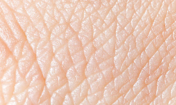 Interesting Facts About Human Skin