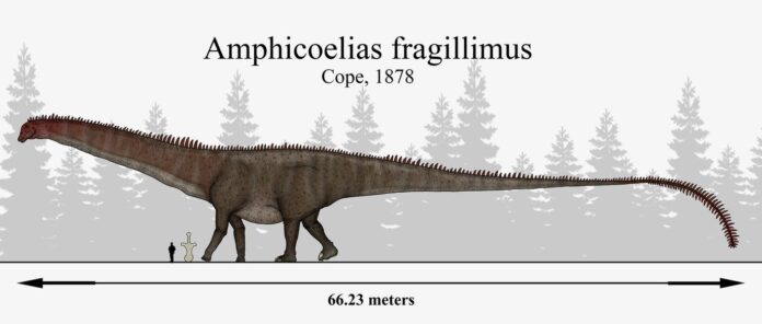 The Biggest and Smallest Dinosaurs in the World: Interesting Facts about Dinosaurs