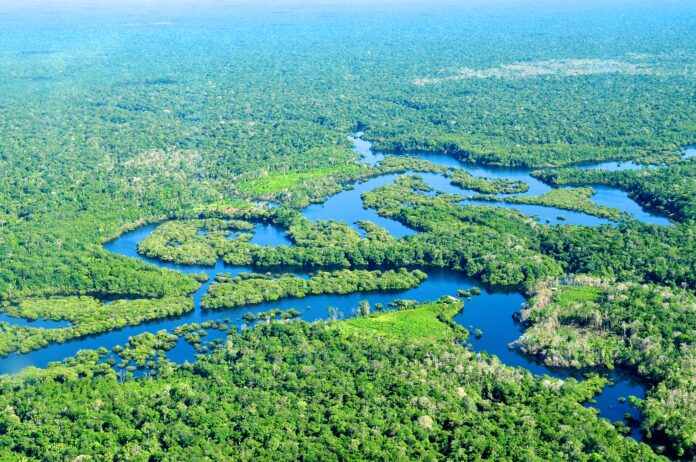 Amazon: Name, Interesting Facts About The World's Largest River