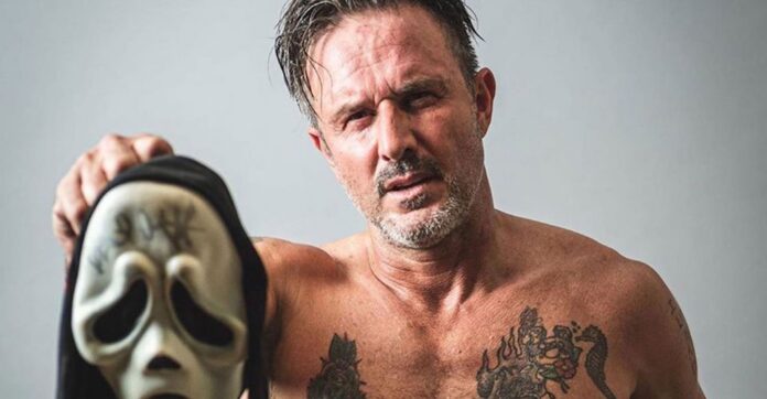 David Arquette: Biography, Career, Personal Life, and Other Information About the Actor