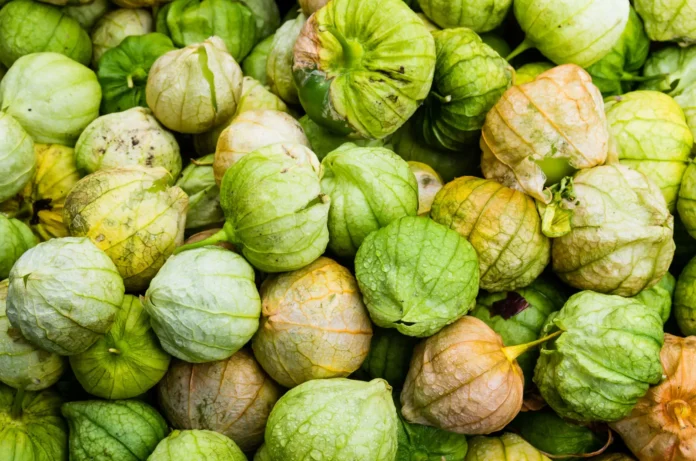 Interesting Facts About The Tomatillo