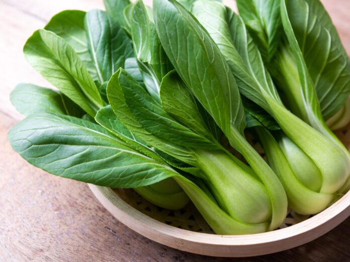 Interesting Facts About Bok Choy