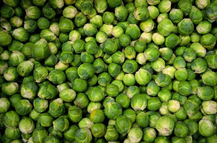 Interesting Facts About Brussels Sprouts