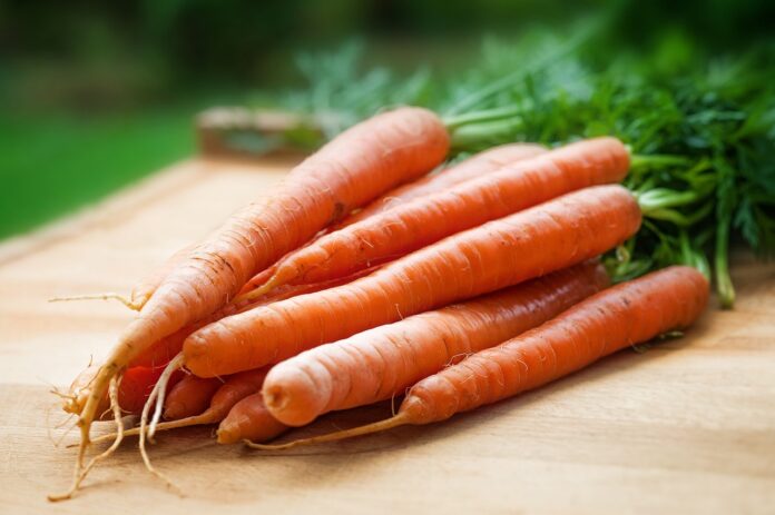 Interesting Facts About Carrot