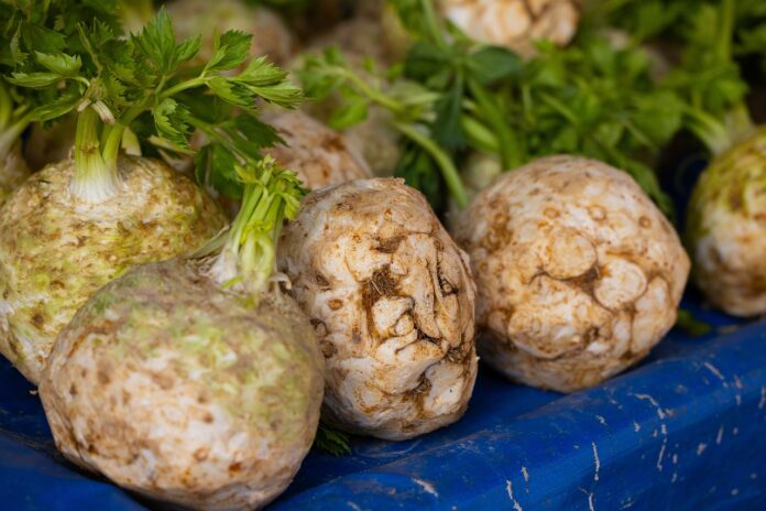 Interesting Facts About Celeriac