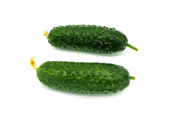 Interesting Facts About Cucumber