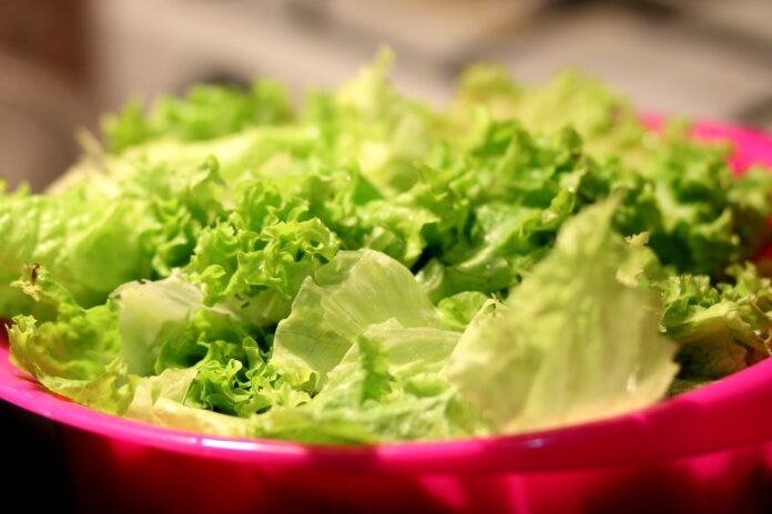 Interesting Facts About Lettuce