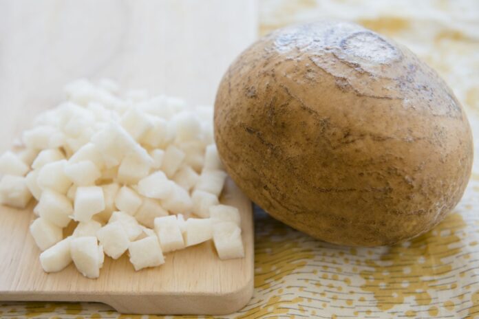 Interesting Facts About Jicama