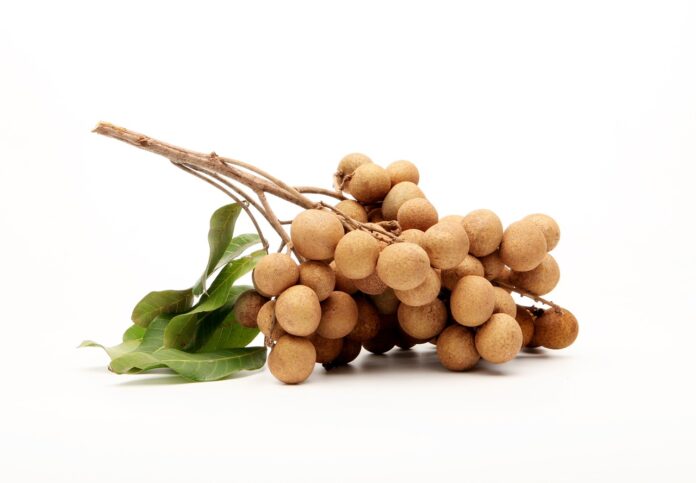 Interesting Facts About Longan