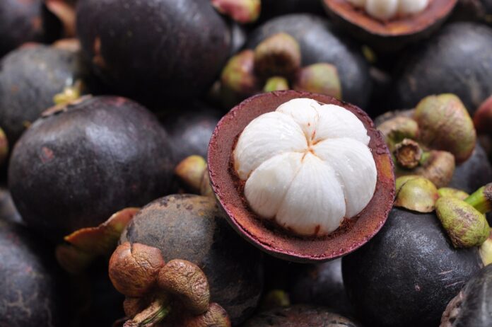 Interesting Facts About Mangosteen