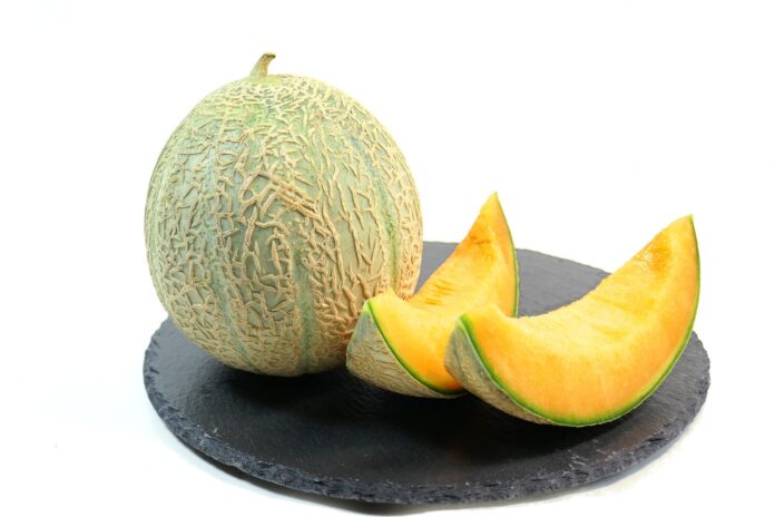 Musk Melon: Types, Interesting Facts