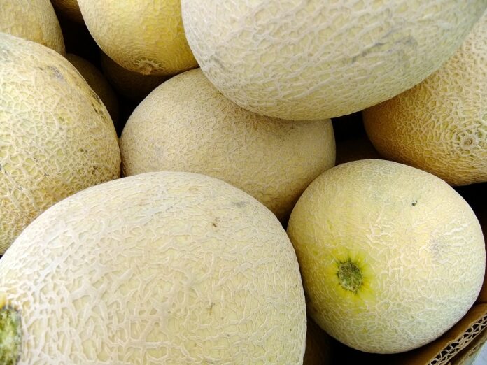 Interesting Facts About Cantaloupe