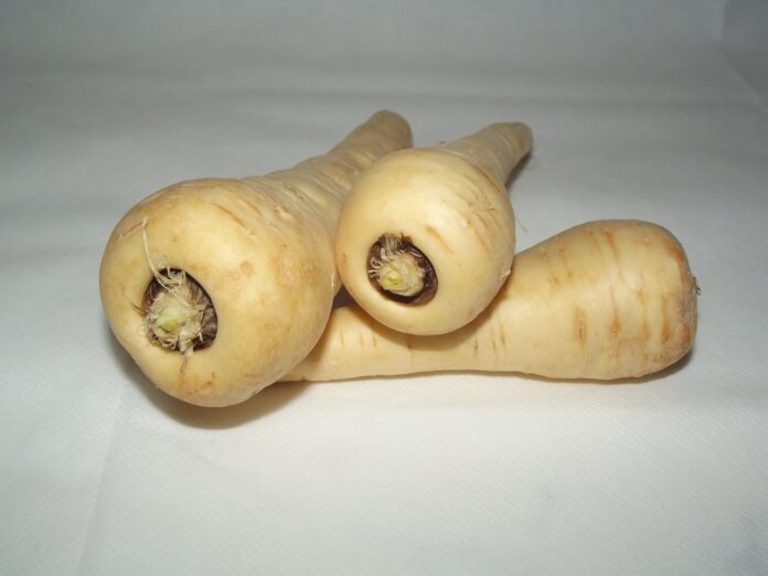 Interesting Facts About Parsnips