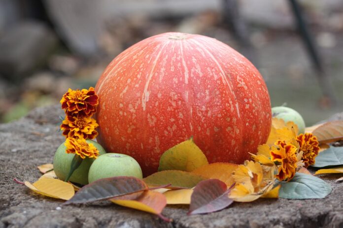 Interesting Facts About Pumpkins