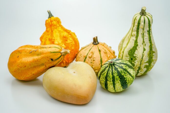 Interesting Facts About Gourds