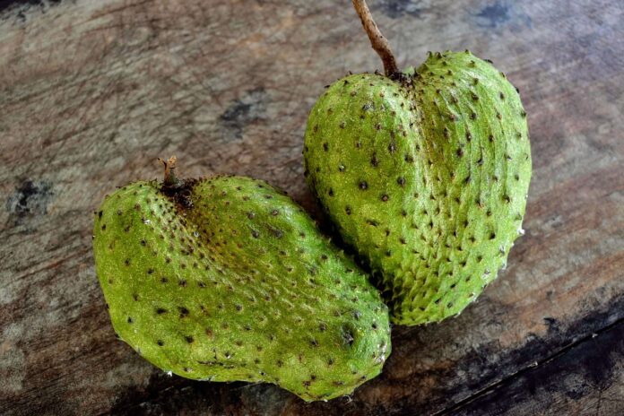 Interesting Facts About Soursop