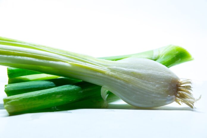 Interesting Facts About Leeks