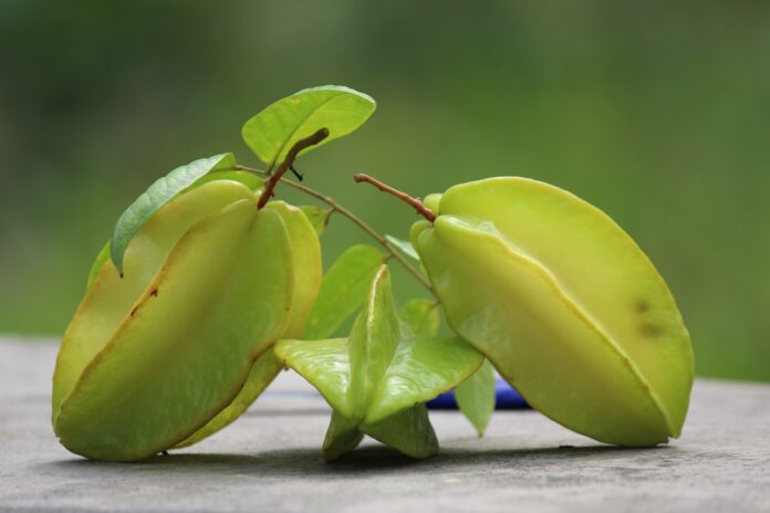 Interesting Facts About Carambola (Star Fruit)