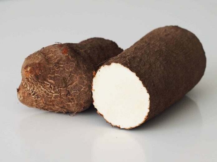 Interesting Facts About Yam