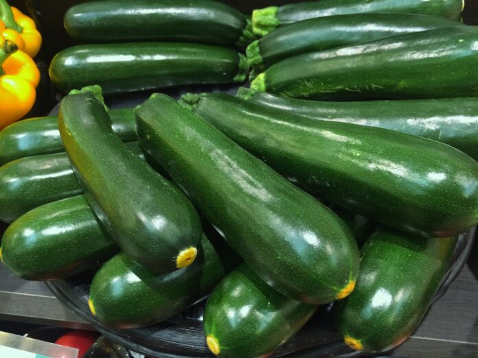 Interesting Facts About Zucchini